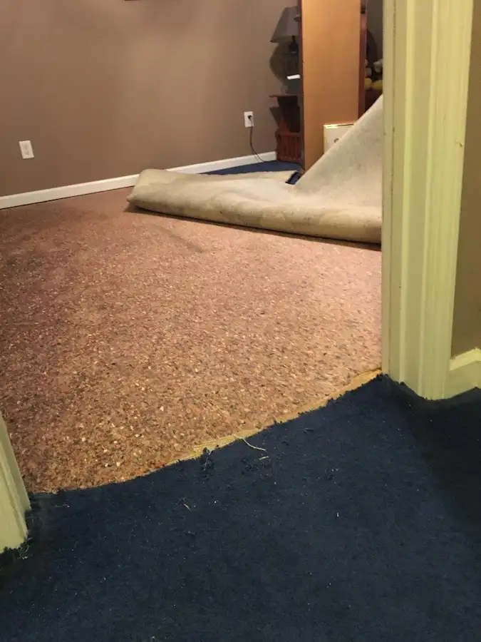 Carpet pad removal revealing water damage during Drying & Dehumidification in Rodeo