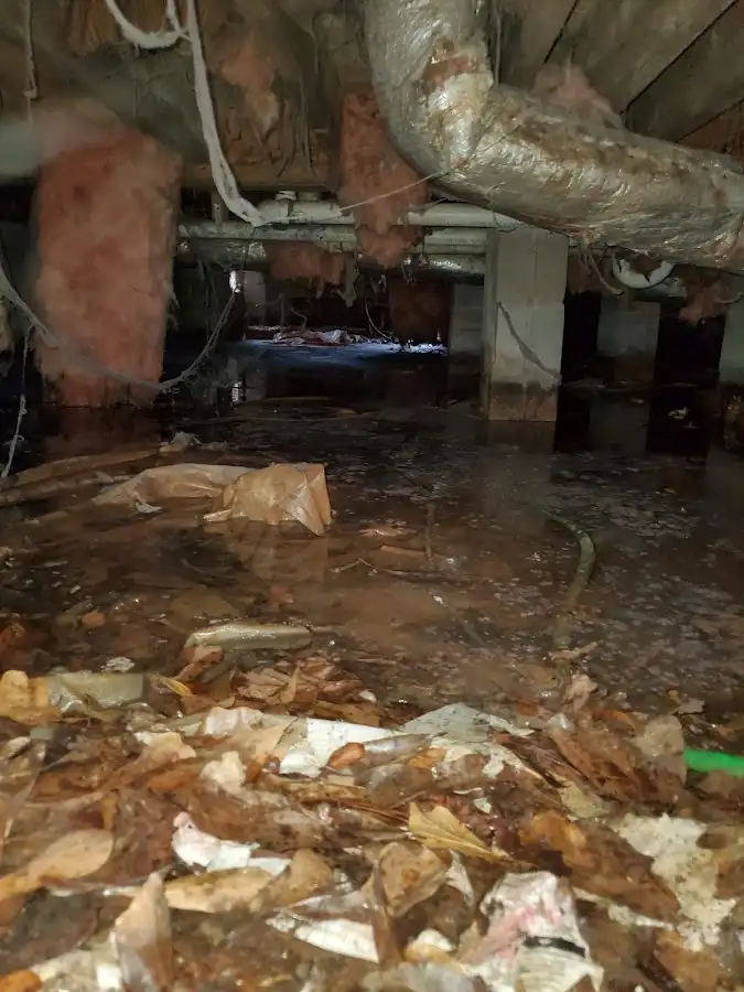 Crawl space flood assessment for Leak Detection & Repair in Rodeo